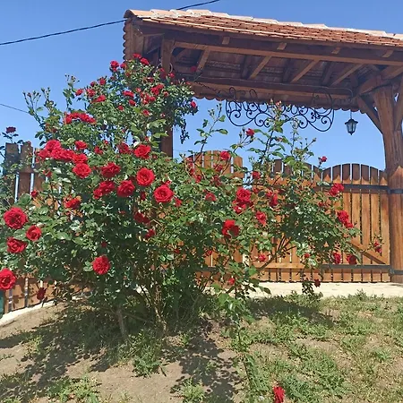 Apartman Ranc Sretenovic