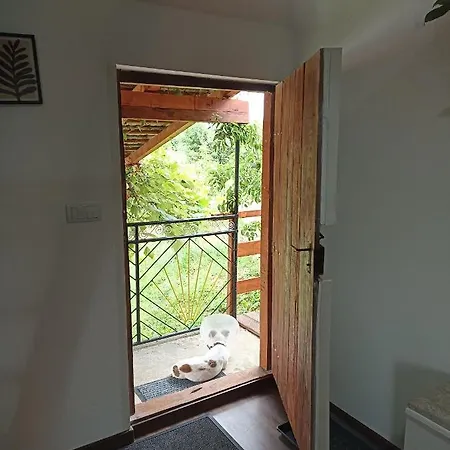 Ranc Sretenovic Apartment