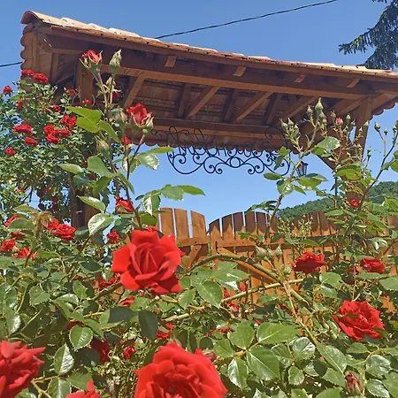 Ranc Sretenovic Apartment Mionica