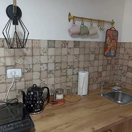 Ranc Sretenovic Apartment Mionica