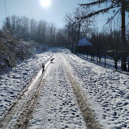 Ranc Sretenovic Apartman Mionica