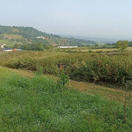 Apartman Ranc Sretenovic Mionica