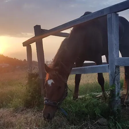 Apartman Ranc Sretenovic *