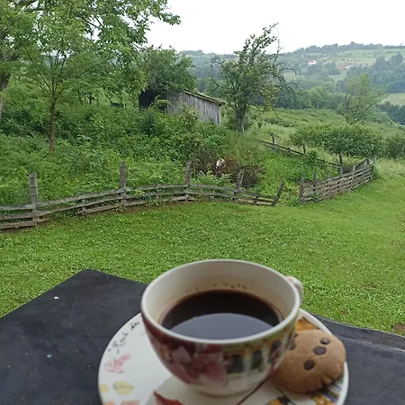 Apartman Ranc Sretenovic Mionica