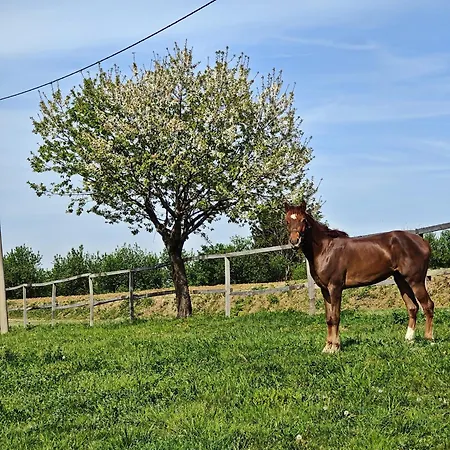 Ranc Sretenovic Apartman Mionica