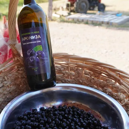 Apartman Ranc Sretenovic *