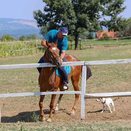 Ranc Sretenovic Mionica