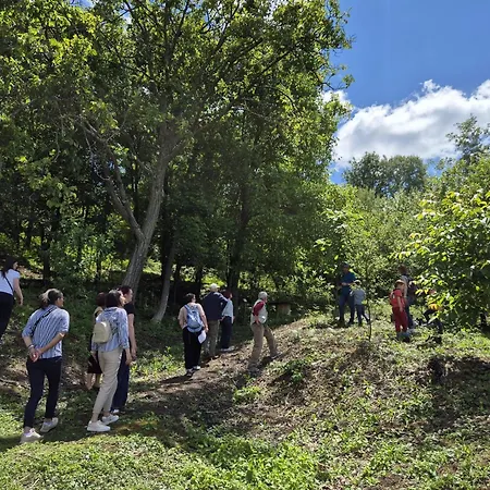 Ranc Sretenovic Апартаменты Mionica