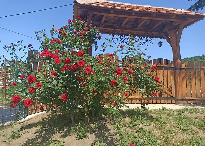 Апартаменты Ranc Sretenovic