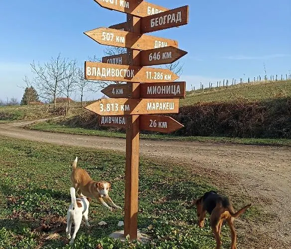 Апартаменты Ranc Sretenovic *