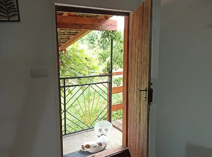 Ranc Sretenovic Апартаменты