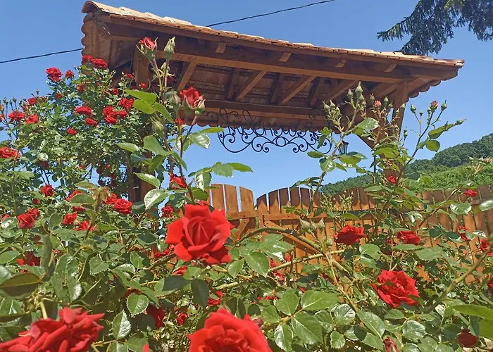 Ranc Sretenovic Апартаменты Mionica