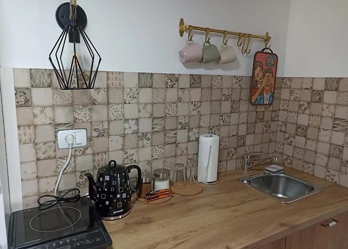 Ranc Sretenovic Апартаменты Mionica