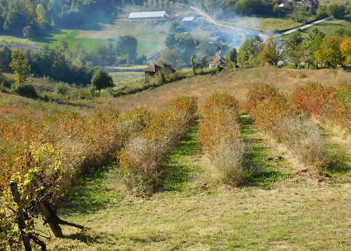 Апартаменты Ranc Sretenovic