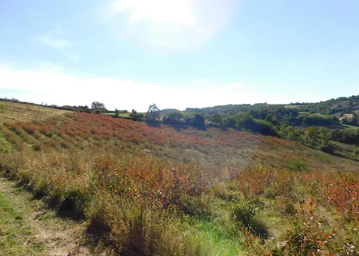 Апартаменты Ranc Sretenovic *