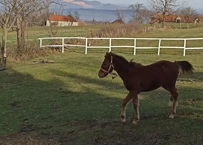 Ranc Sretenovic Апартаменты