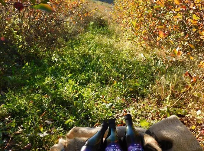 Апартаменты Ranc Sretenovic