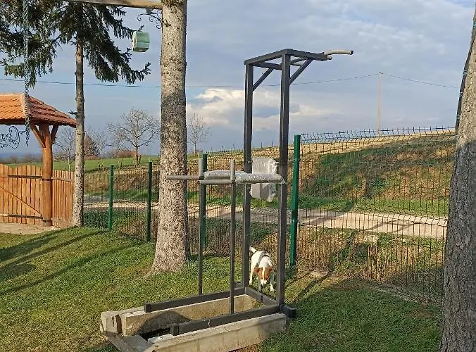 Апартаменты Ranc Sretenovic