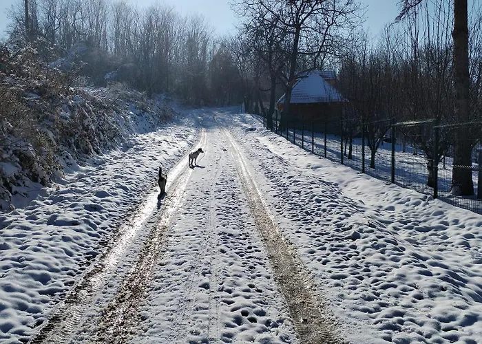 Ranc Sretenovic Апартаменты Mionica