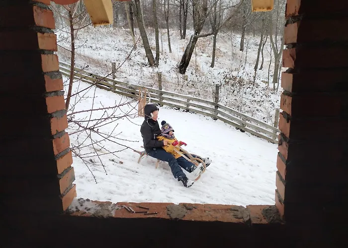 Ranc Sretenovic Апартаменты *