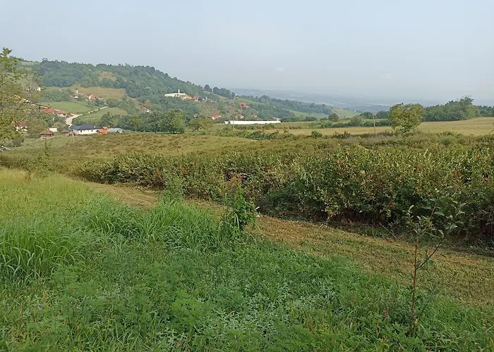 Апартаменты Ranc Sretenovic Mionica