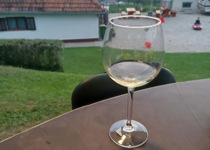 Апартаменты Ranc Sretenovic Mionica