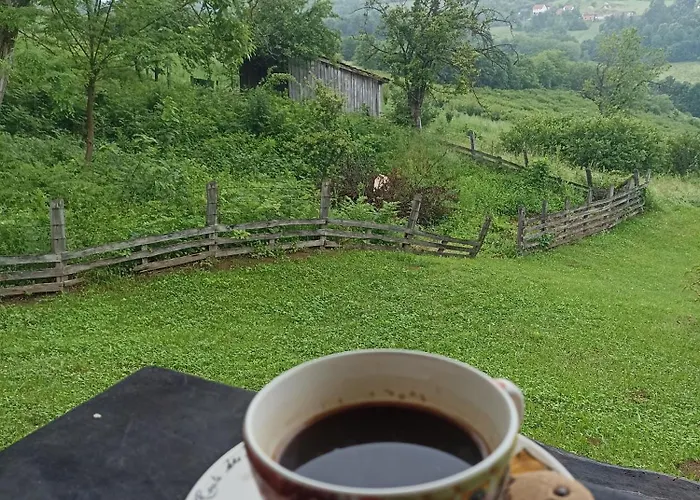 Апартаменты Ranc Sretenovic Mionica