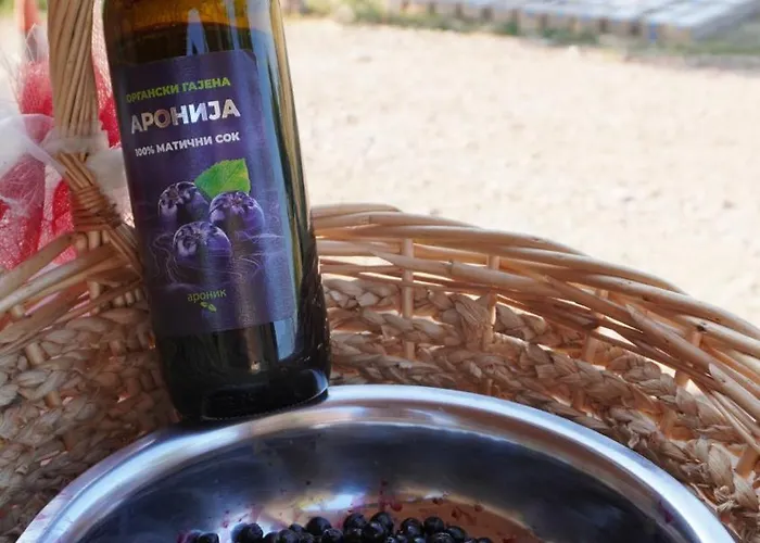 Апартаменты Ranc Sretenovic *