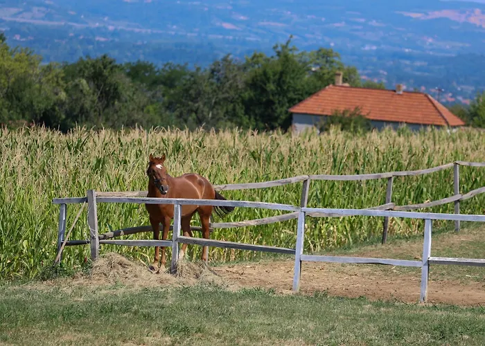 Ranc Sretenovic Апартаменты