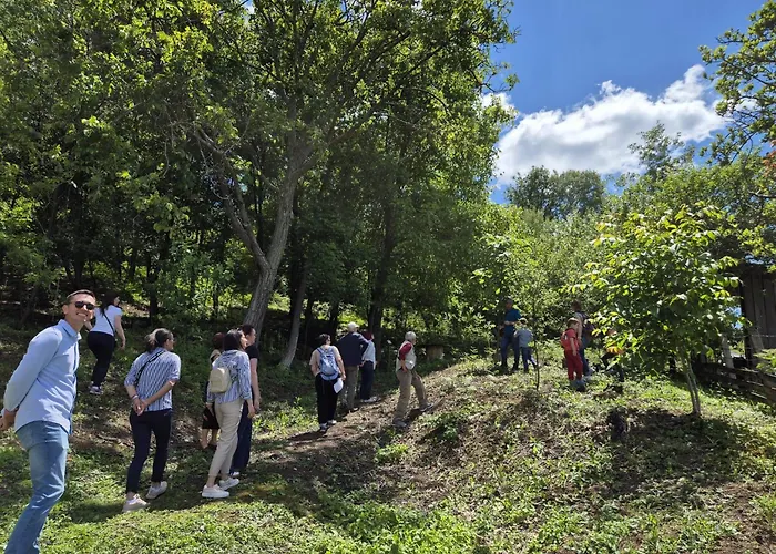 Ranc Sretenovic Апартаменты Mionica